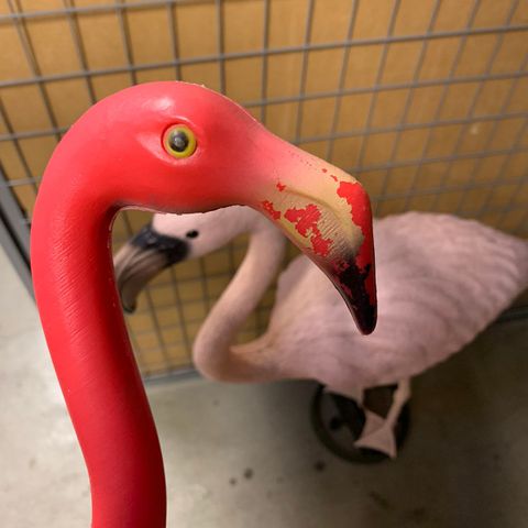 Flamingo til hage og balkong