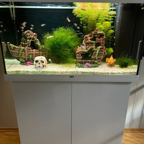 JUWEL AKVARIUM