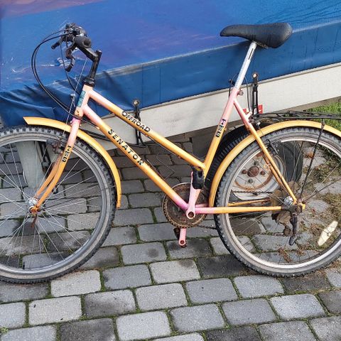 Norges styggeste damesykkel 28 "eller 26" ramme