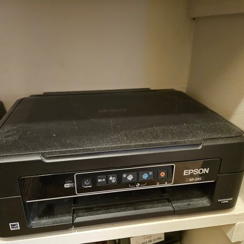 Epson XP-245