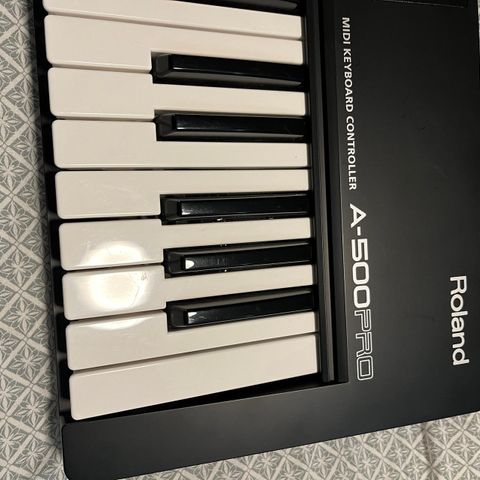 Roland A500 Pro