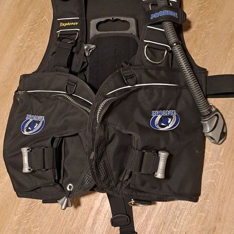 Problue explorer bcd