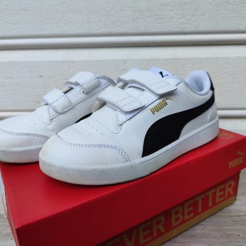 Puma barnesko str 34