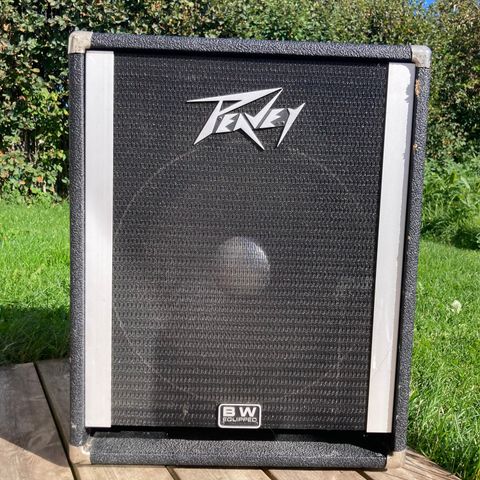 Peavey Continental 15’’