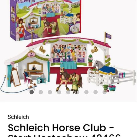 Schleich horseclub