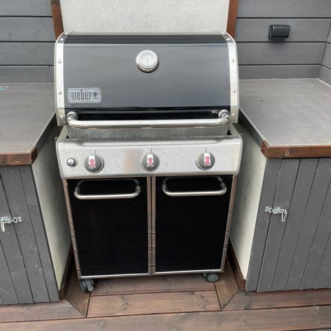 Weber Genesis E-310