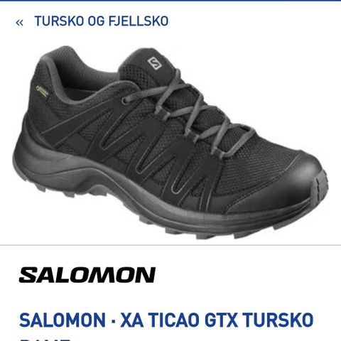 Salomon Gtx str 39 1/3 dame