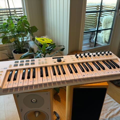 Arturia KeyLab 49 Essential MIDI Keyboard