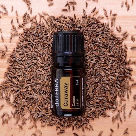 DoTERRA Caraway / karve eterisk olje