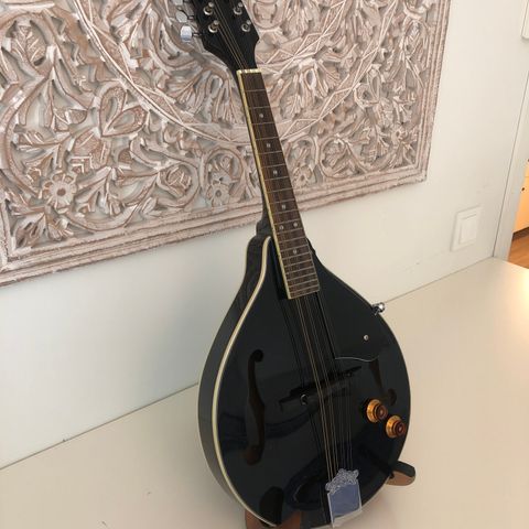 Morgan mandolin M 20 E