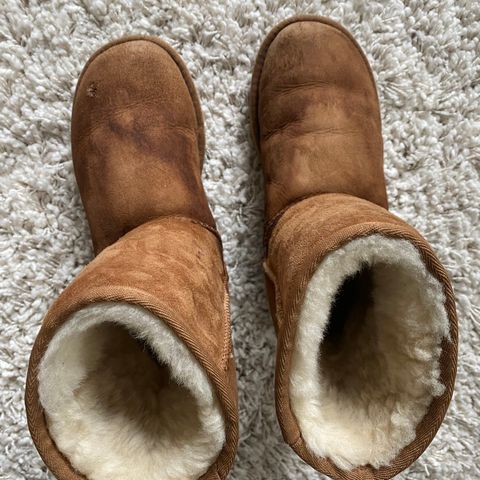 UGGS 36