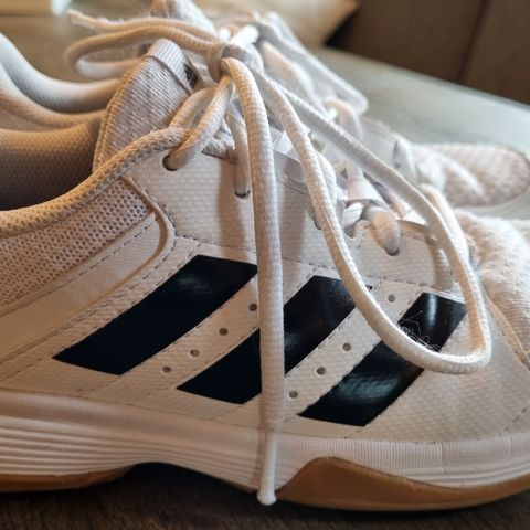 Adidas innendørs-sko str 36