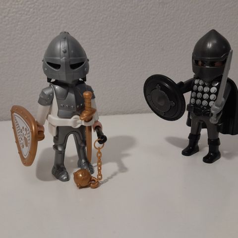 Playmobil Collectable Knights 6847