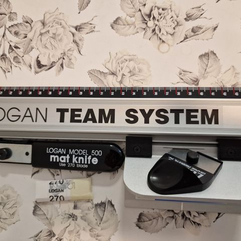 Logan team system