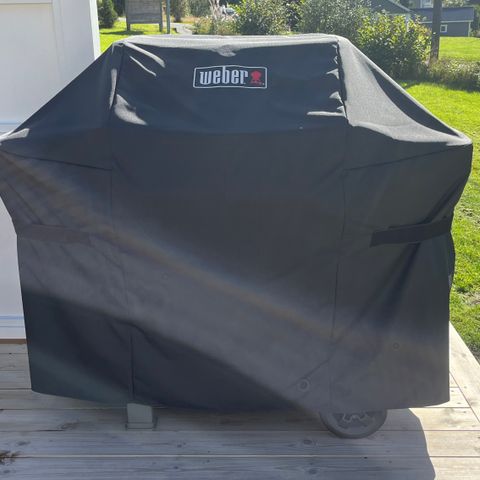 Weber 310 gassgrill / 2024mod / Trekk / Utstyr