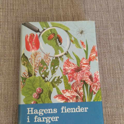 Insekter , i hagen