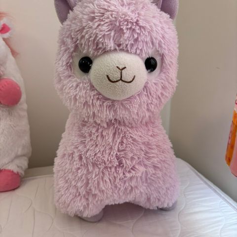 Alpacasso kosebamse