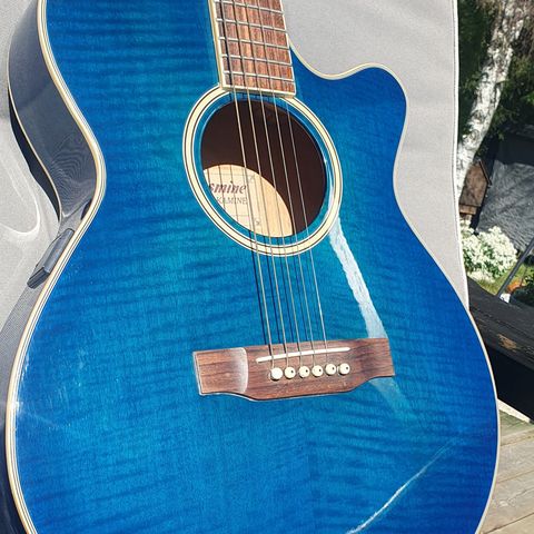 Takamine TS98C