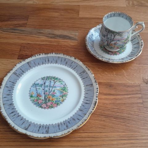 Vintage Royal Albert Silver Birch Tea Set