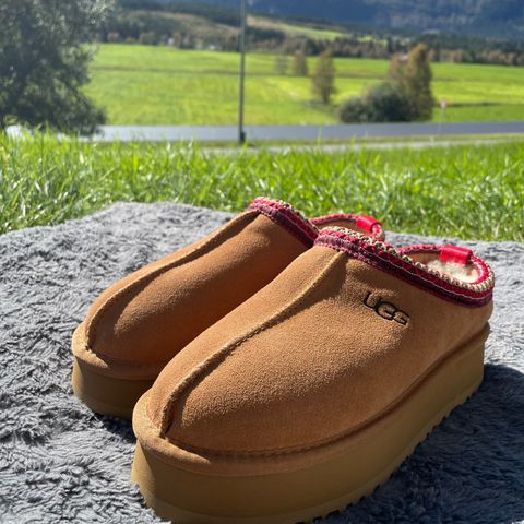 UGG Tazz chestnut