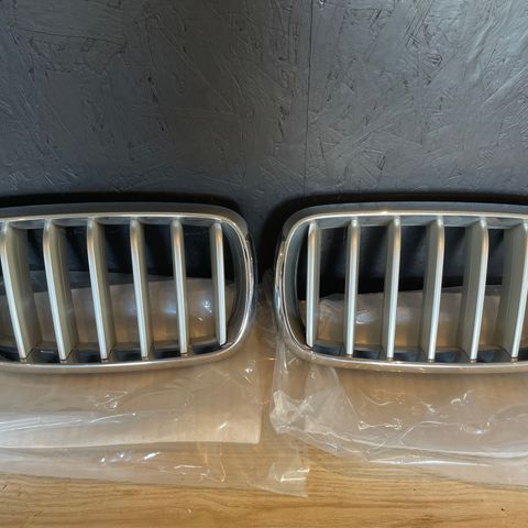 BMW X5 original grill F15