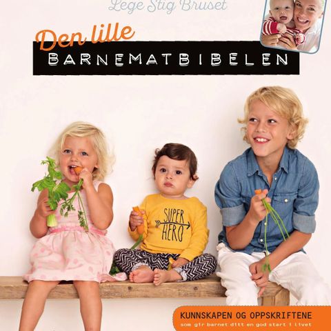 Den lille barnematbibelen