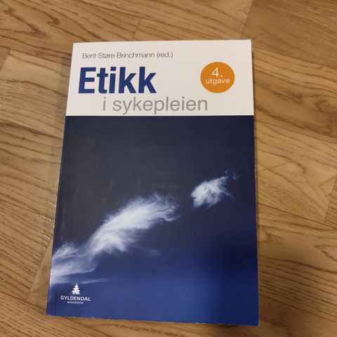 Etikk i sykepleien