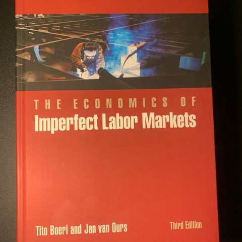 The economics of imperfect labor markets