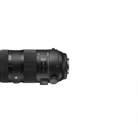 Sigma DG 150-600mm Sport OS HSM Canon