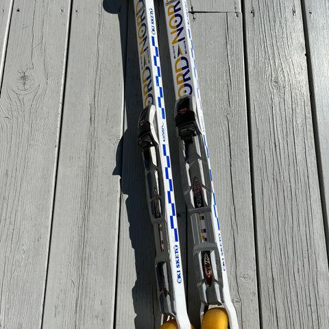 Rulleski SkiSet