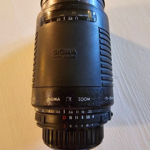 Sigma DL Zoom