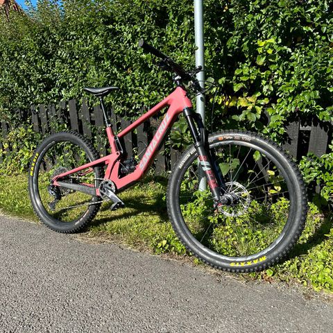 Santa cruz 5010 C medium