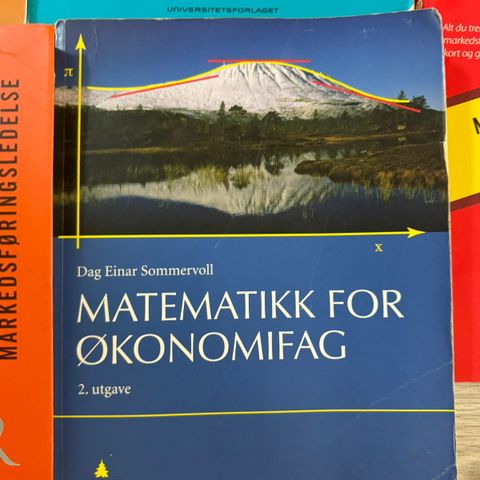 matematikk for økonomifag