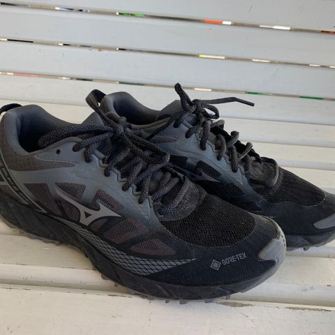 Mizuno Wave Ibuki 2 Gtx str 41