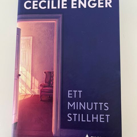 Ett minutts stillhet av Cecilie Enger (innbundet)