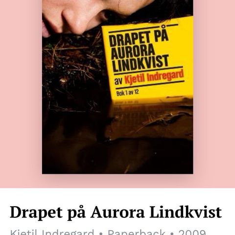 Drapet på Aurora Lundkvist av Kjetil Indregard