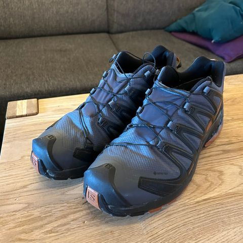 Salomon XA Pro 3D