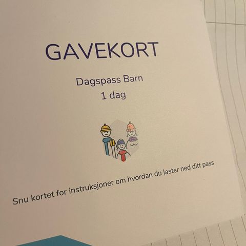 Snø dagspass