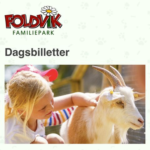 Billett inngang Foldvik familiepark