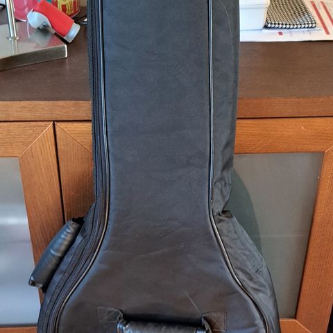 Rockbag by Warwick kr 150