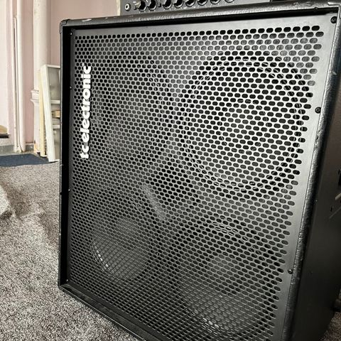 Ebs bassforsterker + TC Elecronics 4x10 cab