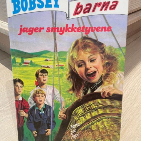 Bobsey barna jager smykketyvene