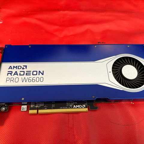 AMD RADEON PRO W6600