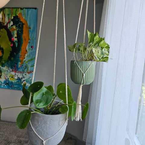 Enkel macramé for plantepotter