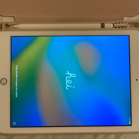 Apple iPad 9.7" 32GB (2018, gen6, rosegull) med Apple Pencil (gen. 1) og deksel