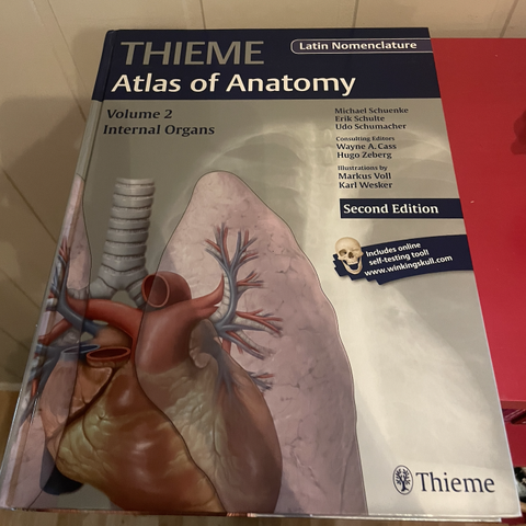 Internal Organs (THIEME Atlas of Anatomy)