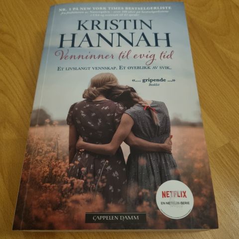 Kristin Hannah  - Venninner til evig tid