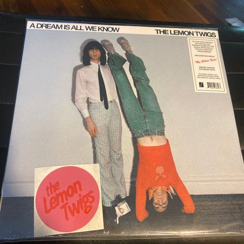 The Lemon Twigs ** A Dream Is All We Know ** LP ** Power Pop