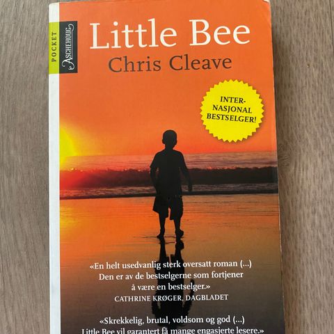 Chris Cleave - The Little Bee