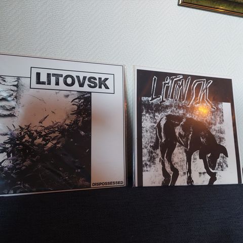 Litovsk på LP fransk post punk hardcore oi crust